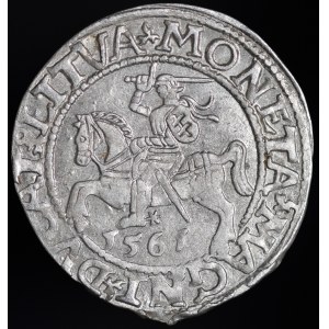 Zygmunt II August, Półgrosz 1561, Wilno - 14 Orzeł, L/LITVA