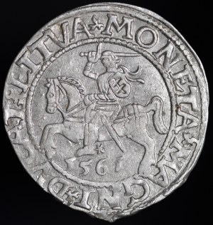 Sigismund II Augustus, Half-penny 1561, Vilnius - 14 Eagle, L/LITVA