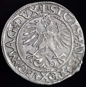 Sigismund II Augustus, Half-penny 1561, Vilnius - 14 Eagle, L/LITVA