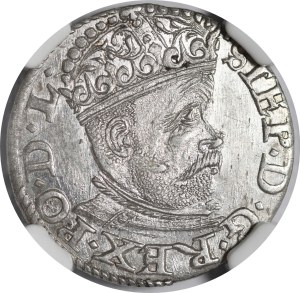 Stefan Batory, Trojak 1585, Riga - plant motif - rare and beautiful