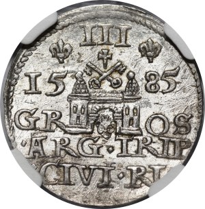 Stefan Batory, Trojak 1585, Riga - plant motif - rare and beautiful