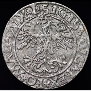 Zygmunt II August, Półgrosz 1562, Wilno - 17 Pogoń, L/LITV