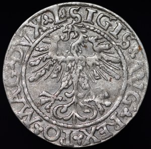 Sigismund II Augustus, Half-grosz 1562, Vilnius - 17 Pogon, L/LITV