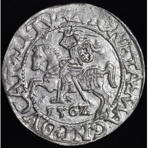 Zygmunt II August, Półgrosz 1562, Wilno - 17 Pogoń, LI/LITVA