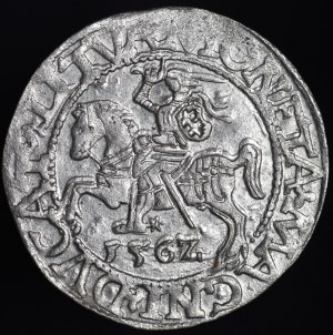 Sigismund II Augustus, Half-grosz 1562, Vilnius - 17 Pogon, LI/LITVA
