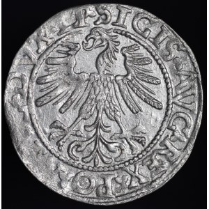 Zygmunt II August, Półgrosz 1562, Wilno - 17 Pogoń, LI/LITVA