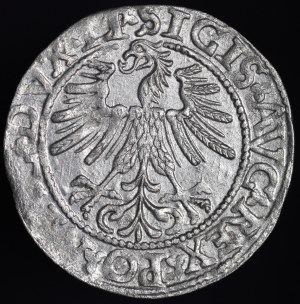 Sigismund II Augustus, Half-grosz 1562, Vilnius - 17 Pogon, LI/LITVA