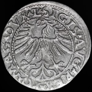 Sigismund II Augustus, Half-penny 1563, Vilnius - 19 Pogon, Axe, DVX L/LITV