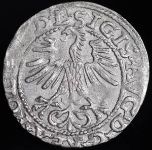 Sigismund II Augustus, Half-penny 1564, Vilnius - 21 Pogon, Axe, L/LITV