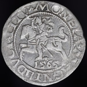 Sigismund II Augustus, Half-penny 1565, Vilnius - 22 Pogon, Axe, L/LITV - DVCT - rare