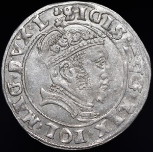 Sigismund II Augustus, Lithuanian foot penny 1546, Vilnius - L/LITVA - beautiful