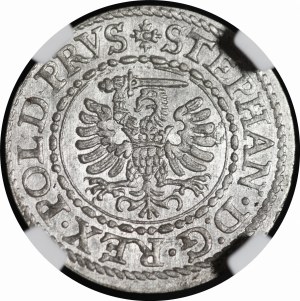 Stefan Batory, the 1579 Shellac, Gdansk - exquisite