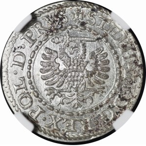 Stefan Batory, Szeląg 1582, Gdańsk - wyśmienity