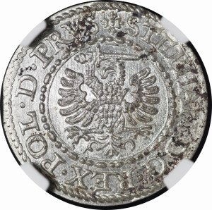 Stefan Batory, the 1582 Shellac, Gdansk - exquisite