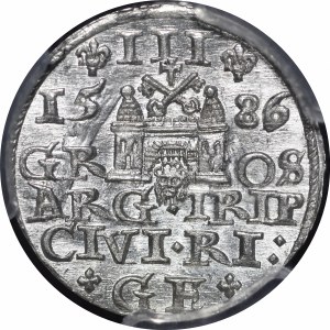 Stefan Batory, Trojak 1586, Riga - plant motif - rare and exquisite