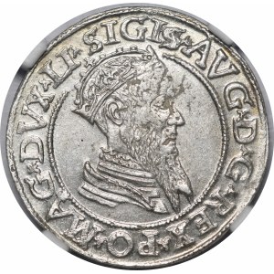 Zygmunt II August, Czworak 1569, Wilno - LI/LITVA - rzadki i b. ładny