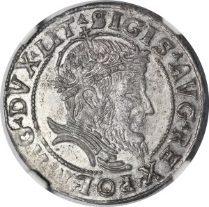 Sigismund II Augustus, Lithuanian foot penny 1555, Vilnius - LI/LITVA - rare