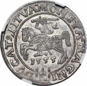 Sigismund II Augustus, Lithuanian foot penny 1555, Vilnius - LI/LITVA - rare