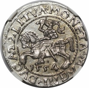 Sigismund II Augustus, Half-penny 1554, Vilnius - LI/LITVA - beautiful and rare
