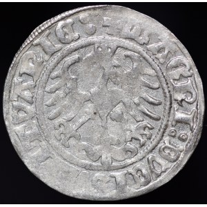Zygmunt I Stary, Półgrosz 1512, Wilno - dwukropek