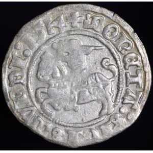 Zygmunt I Stary, Półgrosz 1514, Wilno - dwukropek