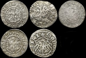 From Casimir Jagiellonian to Sigismund I the Old, Half-penny Cracow - set (pcs. 5)