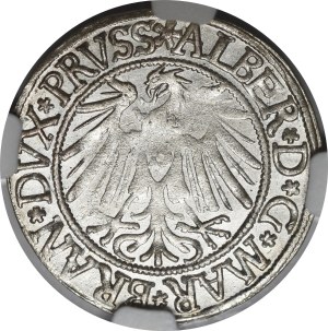 Ducal Prussia, Albrecht Hohenzollern, Grosz 1539, Königsberg