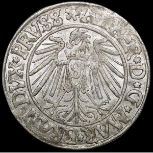 Prusy Książęce, Albrecht Hohenzollern, Grosz 1540, Królewiec - piękny