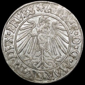Ducal Prussia, Albrecht Hohenzollern, Grosz 1540, Königsberg - beautiful