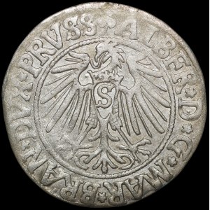Prusy Książęce, Albrecht Hohenzollern, Grosz 1542, Królewiec