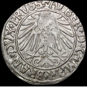 Prusy Książęce, Albrecht Hohenzollern, Grosz 1543, Królewiec - piękny