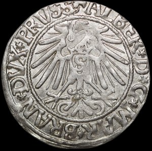 Ducal Prussia, Albrecht Hohenzollern, Grosz 1543, Königsberg - beautiful