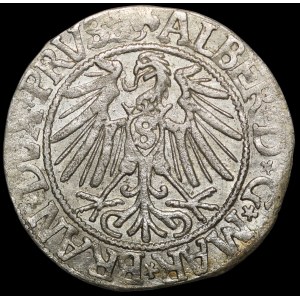 Prusy Książęce, Albrecht Hohenzollern, Grosz 1543, Królewiec