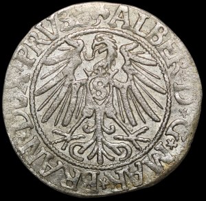 Ducal Prussia, Albrecht Hohenzollern, Grosz 1543, Königsberg