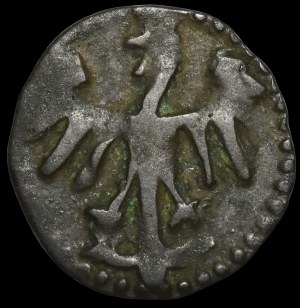 Casimir IV Jagiellonian, Denarius of Cracow