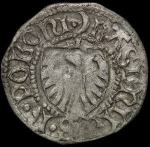 Casimir IV Jagiellonian, the Gdansk Shelrog - crescent - rare