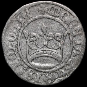 Alexander Jagiellonian, Half-penny Cracow