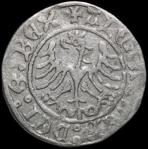 Alexander Jagiellonian, Half-penny Cracow