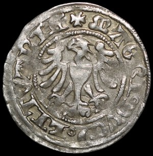 Alexander Jagiellonian, Vilnius half-penny - Gothic - 2nd issue