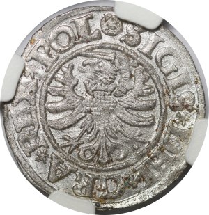 Sigismund I the Old, Shellegno 1531, Gdansk - beautiful