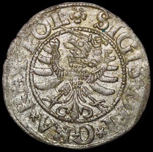 Zygmunt I the Old, Shellegg 1531, Gdańsk