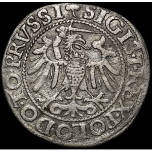 Zygmunt I Stary, Grosz 1540, Elbląg