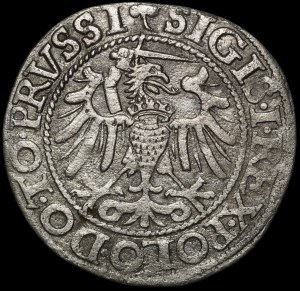 Sigismund I the Old, Penny 1540, Elbląg