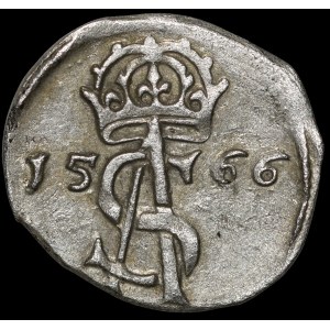 Zygmunt II August, Dwudenar 1566, Wilno