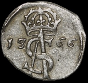 Sigismund II Augustus, Dwudenar 1566, Vilnius