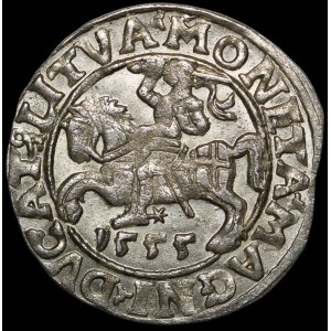 Zygmunt II August, Półgrosz 1555, Wilno - LI/LITVA - piękny