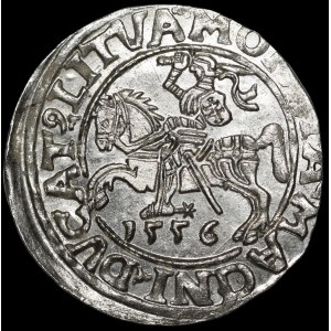 Zygmunt II August, Półgrosz 1556, Wilno - LI/LITVA - piękny