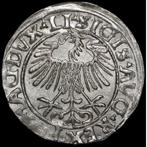 Zygmunt II August, Półgrosz 1556, Wilno - LI/LITVA - piękny