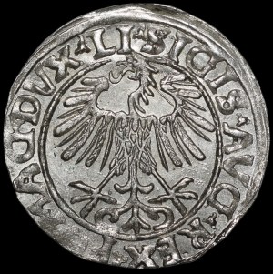 Sigismund II Augustus, Half-penny 1556, Vilnius - LI/LITVA - beautiful