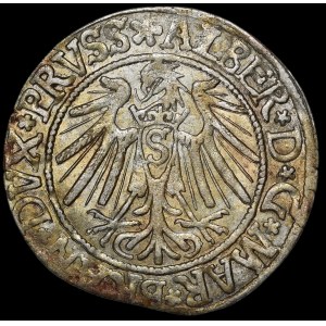 Prusy Książęce, Albrecht Hohenzollern, Grosz 1539, Królewiec